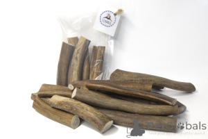 Фото №4. Распиленный поразмерный рог северного оленя и лося в России. Объявление №139156