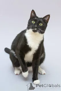 Фото №1.  - купить в Химках за Бесплатно. Объявление №161902