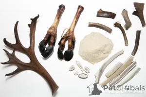 Фото №2. Зоотовары (питание) в России. Цена Бесплатно.  Объявление №139158