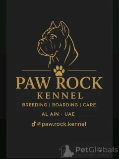 Фото №1 Гостиница для животных в Где. Цена договорная. Объявление №145660