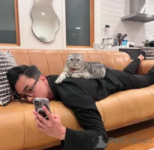 Дополнительные фото: Нам так грустно видеть, что наш новый помет скоро отправится в новый дом!!