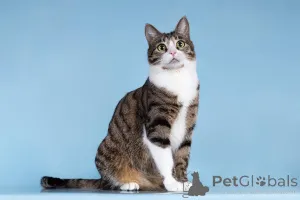 Фото №1.  - купить в Химках за Бесплатно. Объявление №161938