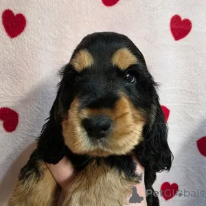 Фото №3. Теперь готово к самовывозу и отправке.  Финляндия